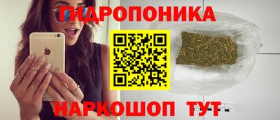 прущие крисы Сланцы