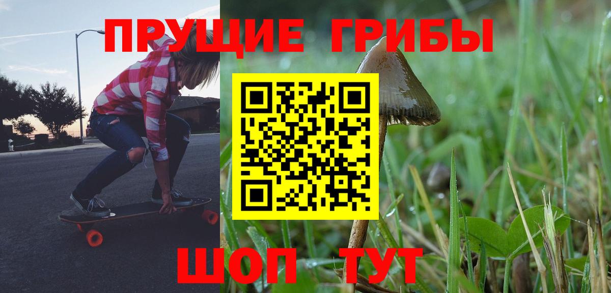 Псилоцибиновые грибы Psilocybe Партизанск